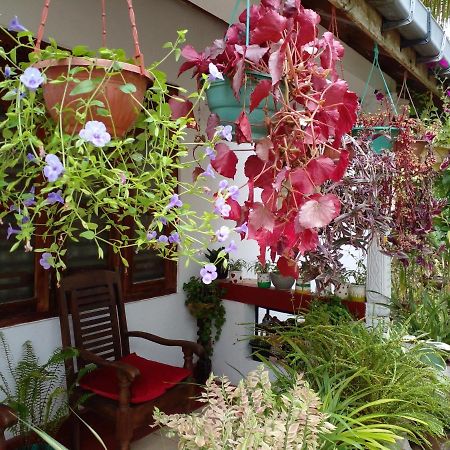 Gem Villa Weligama Dış mekan fotoğraf