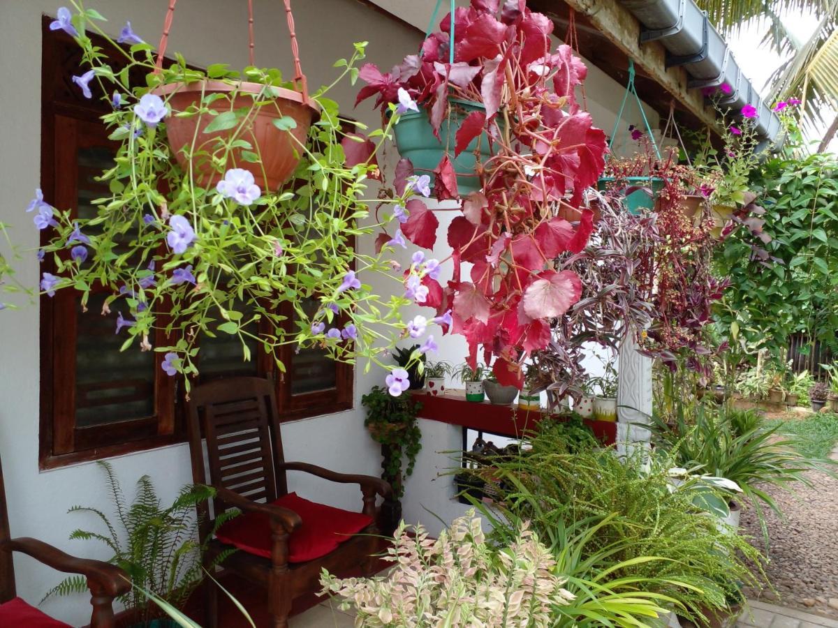Gem Villa Weligama Dış mekan fotoğraf