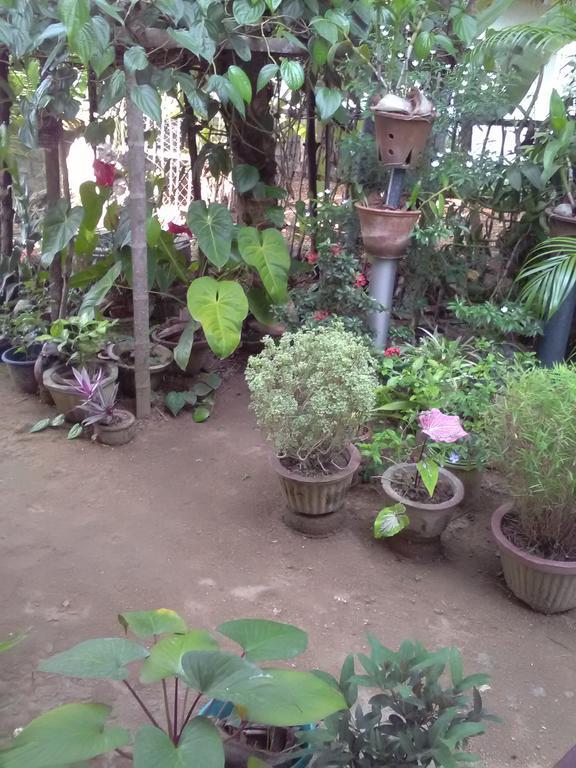 Gem Villa Weligama Dış mekan fotoğraf
