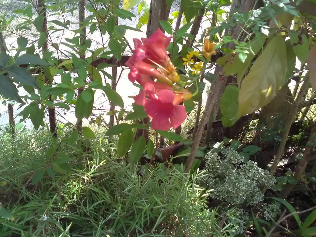 Gem Villa Weligama Dış mekan fotoğraf